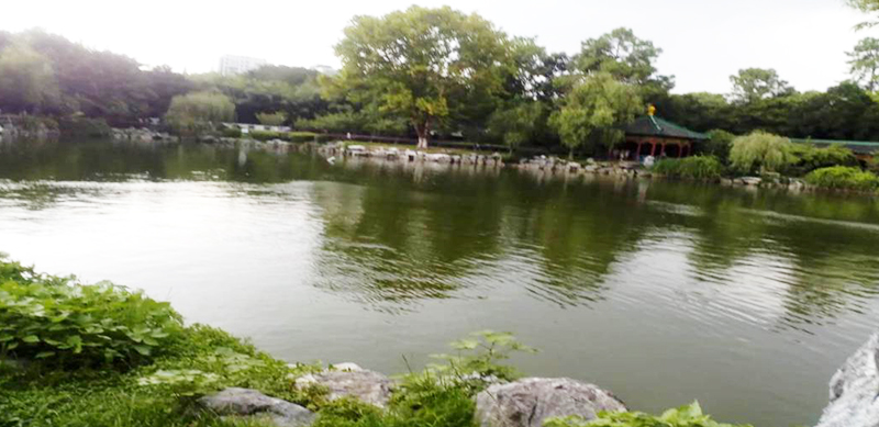 江西省南昌市人民公園景觀湖水治理項目